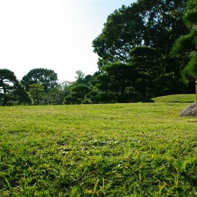 高校招生“本研倒挂”，研究型大学建设更应“重质”