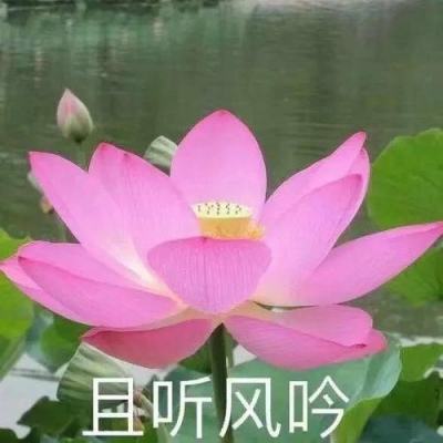 施惠芳任绍兴市委书记